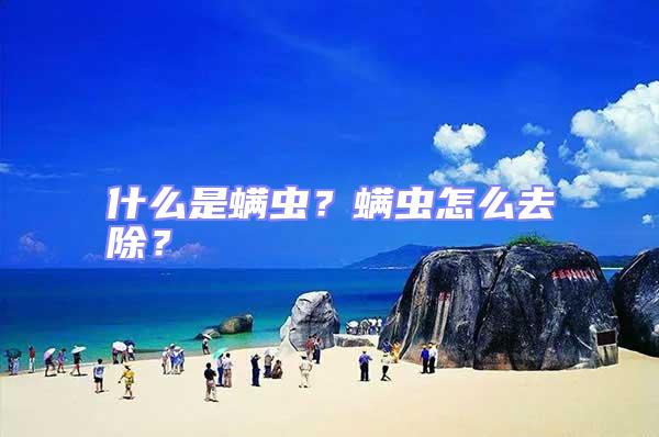 什么是螨蟲(chóng)？螨蟲(chóng)怎么去除？