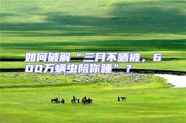 如何破解“三月不曬被,600萬螨蟲陪你睡”?