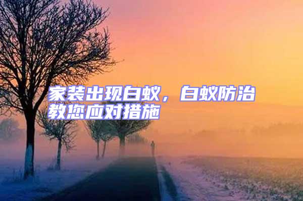 家裝出現白蟻，白蟻防治教您應對措施