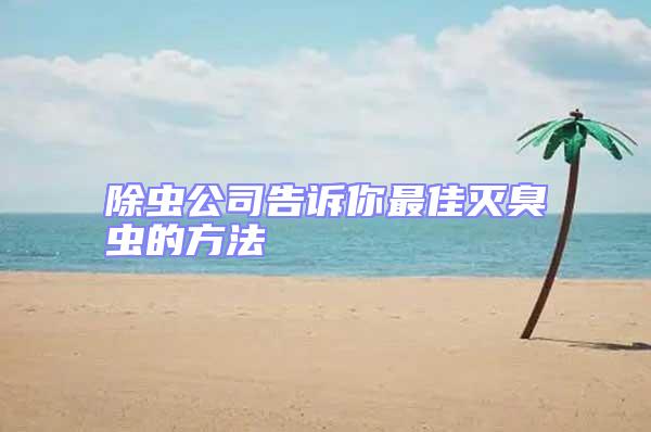 除蟲公司告訴你最佳滅臭蟲的方法