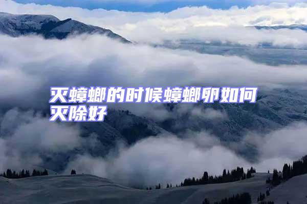 滅蟑螂的時候蟑螂卵如何滅除好