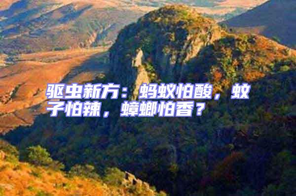 驅(qū)蟲(chóng)新方：螞蟻怕酸，蚊子怕辣，蟑螂怕香？