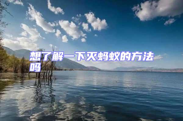 想了解一下滅螞蟻的方法嗎