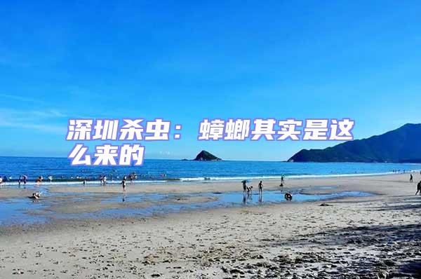 深圳殺蟲(chóng)：蟑螂其實(shí)是這么來(lái)的