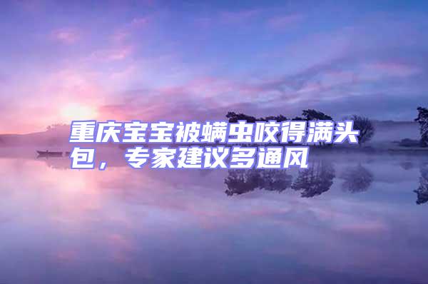 重慶寶寶被螨蟲咬得滿頭包,專家建議多通風