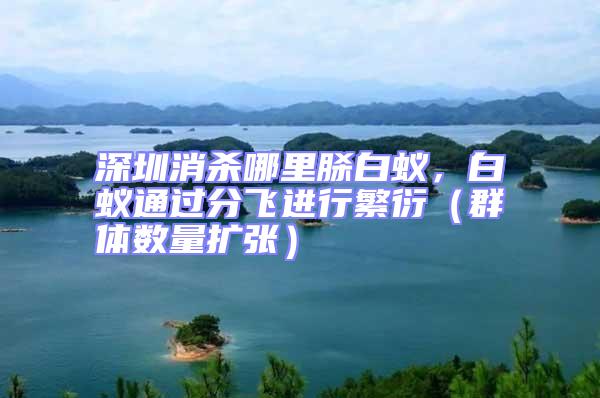 深圳消殺哪里脎白蟻,白蟻通過分飛進行繁衍(群體數量擴張)