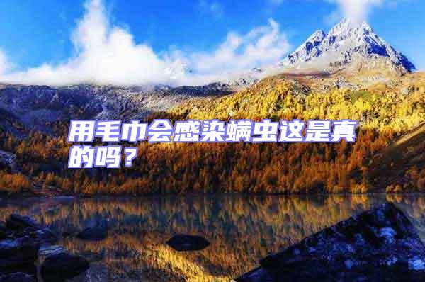 用毛巾會感染螨蟲這是真的嗎?