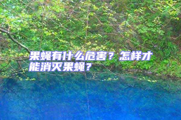 果蠅有什么危害？怎樣才能消滅果蠅？