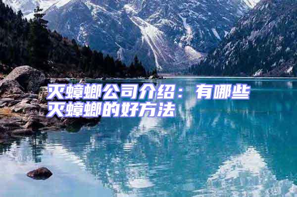 滅蟑螂公司介紹：有哪些滅蟑螂的好方法