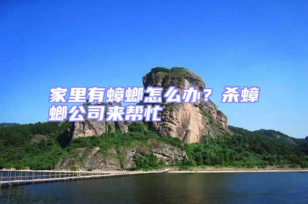 家里有蟑螂怎么辦？殺蟑螂公司來幫忙