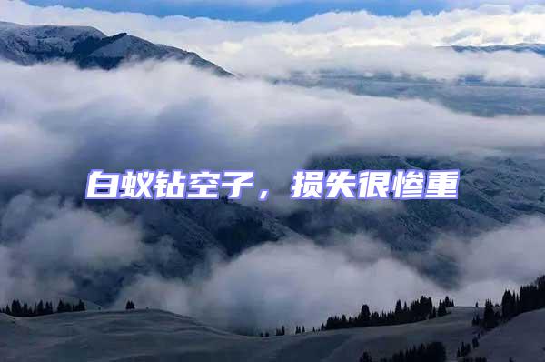 白蟻鉆空子，損失很慘重