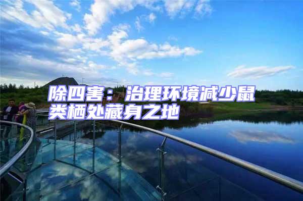 除四害：治理環境減少鼠類棲處藏身之地