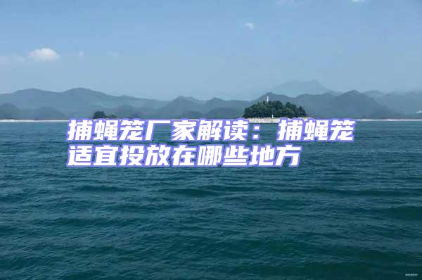 捕蠅籠廠家解讀:捕蠅籠適宜投放在哪些地方