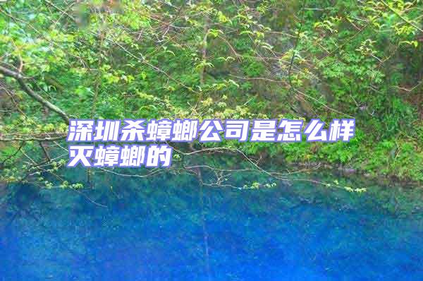 深圳殺蟑螂公司是怎么樣滅蟑螂的