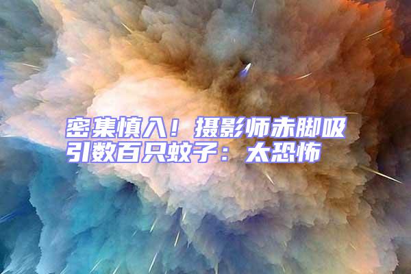 密集慎入!攝影師赤腳吸引數百只蚊子:太恐怖