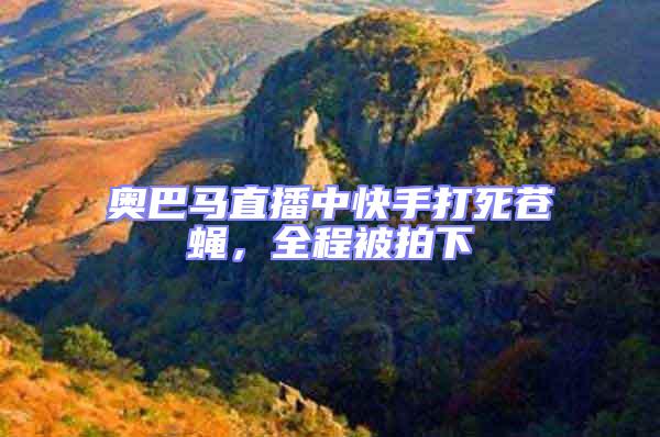 奧巴馬直播中快手打死蒼蠅，全程被拍下