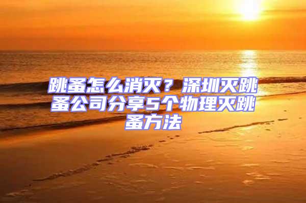 跳蚤怎么消滅？深圳滅跳蚤公司分享5個物理滅跳蚤方法