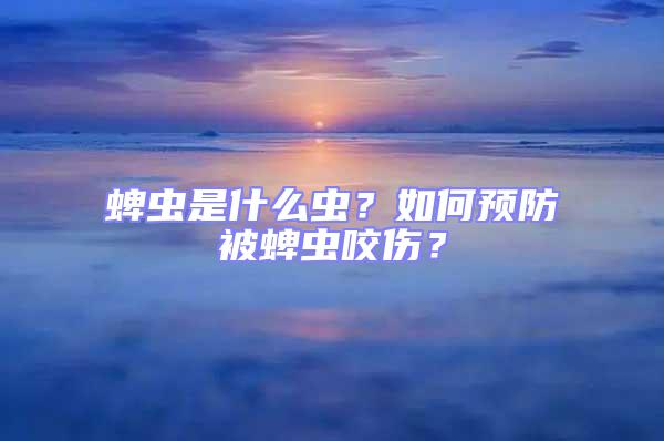 蜱蟲是什么蟲？如何預防被蜱蟲咬傷？