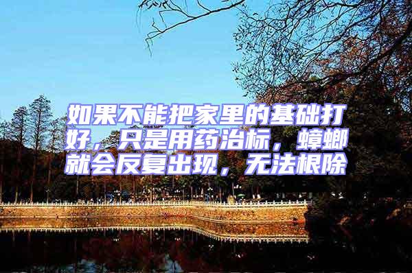 如果不能把家里的基礎(chǔ)打好，只是用藥治標(biāo)，蟑螂就會反復(fù)出現(xiàn)，無法根除