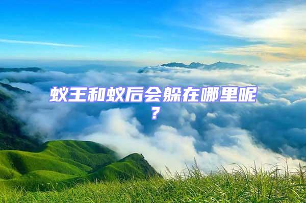 蟻王和蟻后會躲在哪里呢?