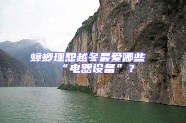 蟑螂理想越冬最愛哪些“電器設(shè)備”？