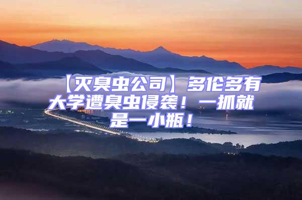 【滅臭蟲公司】多倫多有大學遭臭蟲侵襲！一抓就是一小瓶！