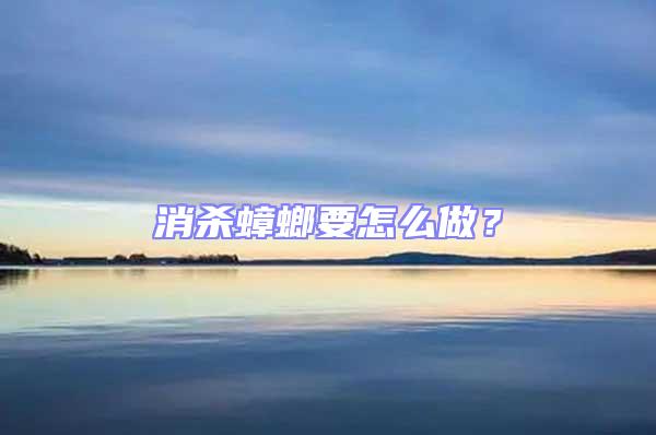 消殺蟑螂要怎么做?