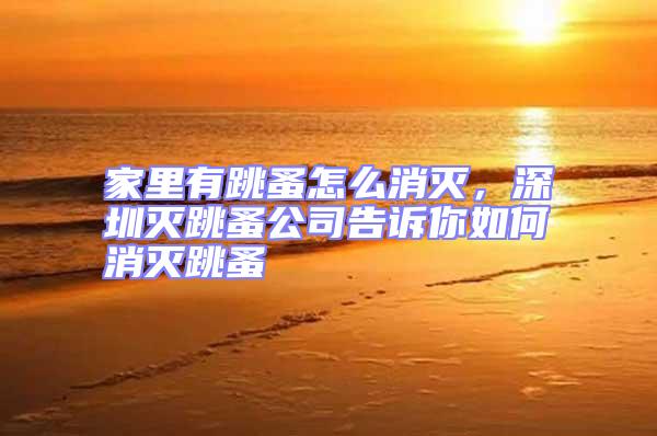 家里有跳蚤怎么消滅，深圳滅跳蚤公司告訴你如何消滅跳蚤
