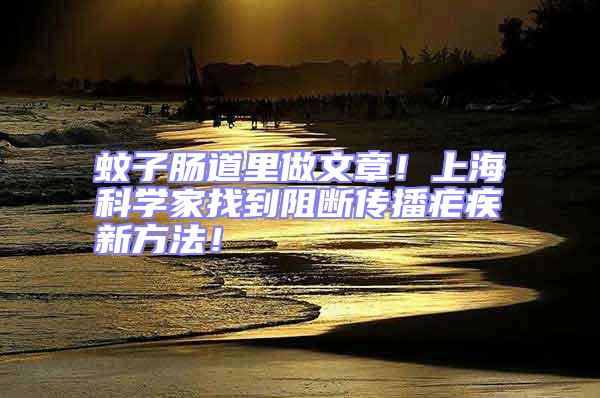 蚊子腸道里做文章！上?？茖W家找到阻斷傳播瘧疾新方法！