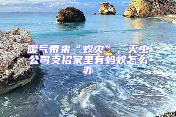暖氣帶來(lái)“蟻災(zāi)”，滅蟲(chóng)公司支招家里有螞蟻怎么辦