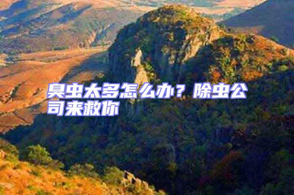 臭蟲太多怎么辦？除蟲公司來(lái)救你