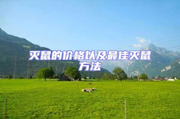 滅鼠的價格以及最佳滅鼠方法