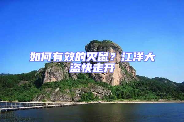 如何有效的滅鼠？江洋大盜快走開