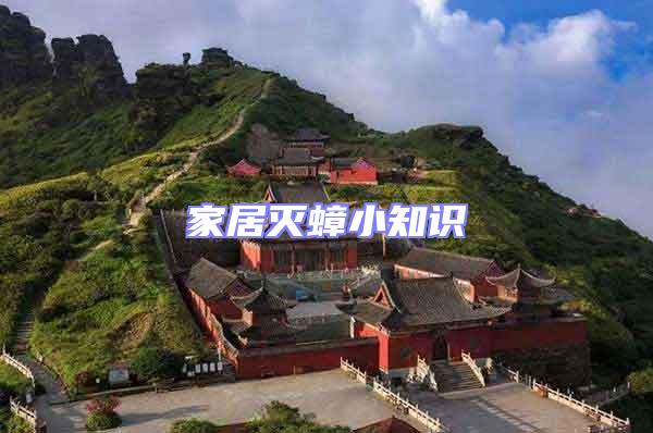 家居滅蟑小知識