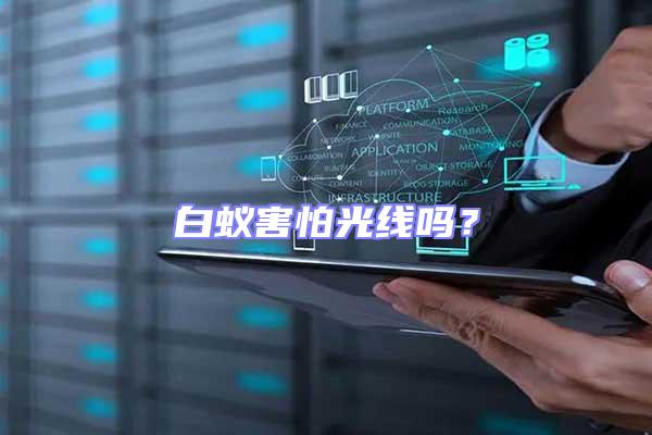 白蟻害怕光線嗎？