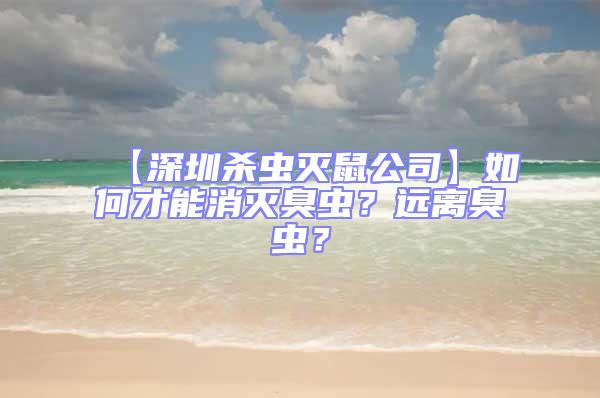 【深圳殺蟲滅鼠公司】如何才能消滅臭蟲?遠(yuǎn)離臭蟲?