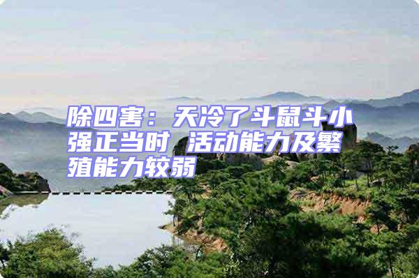 除四害:天冷了斗鼠斗小強(qiáng)正當(dāng)時(shí) 活動(dòng)能力及繁殖能力較弱