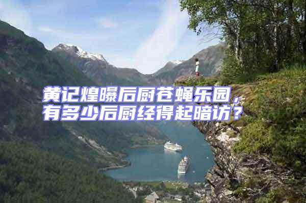 黃記煌曝后廚蒼蠅樂園， 有多少后廚經(jīng)得起暗訪？