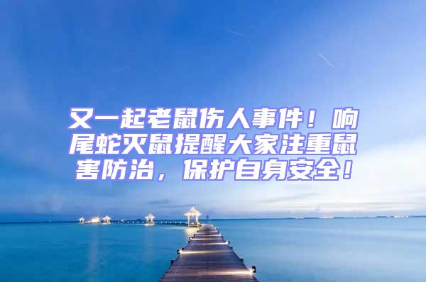 又一起老鼠傷人事件！響尾蛇滅鼠提醒大家注重鼠害防治，保護自身安全！