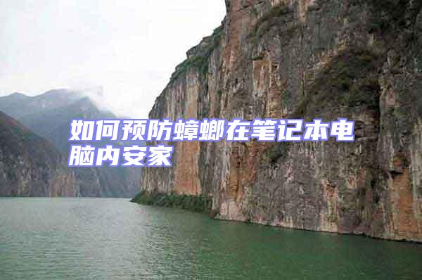 如何預防蟑螂在筆記本電腦內安家