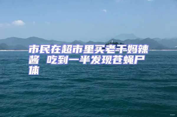 市民在超市里買老干媽辣醬 吃到一半發現蒼蠅尸體