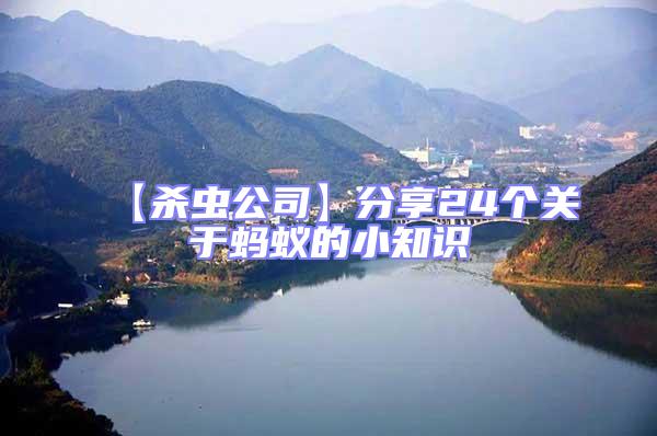 【殺蟲(chóng)公司】分享24個(gè)關(guān)于螞蟻的小知識(shí)