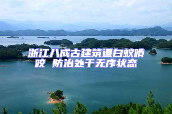 浙江八成古建筑遭白蟻啃咬 防治處于無序狀態