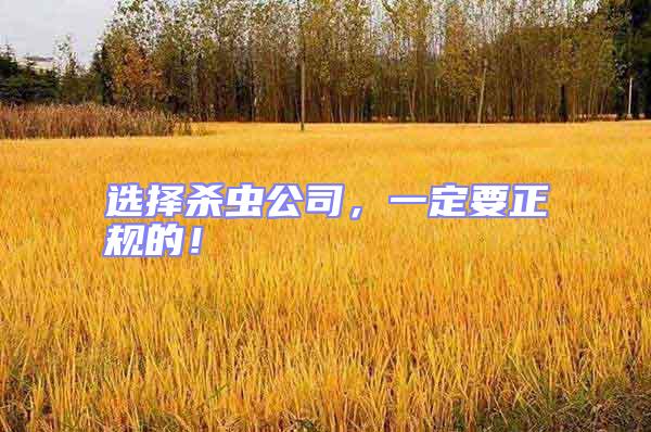 選擇殺蟲公司,一定要正規的!