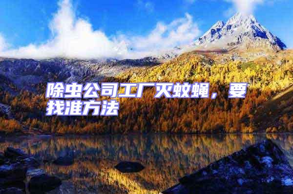 除蟲公司工廠滅蚊蠅,要找準(zhǔn)方法