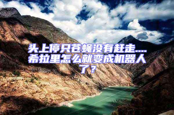頭上停只蒼蠅沒有趕走....希拉里怎么就變成機(jī)器人了？