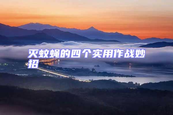 滅蚊蠅的四個實用作戰妙招