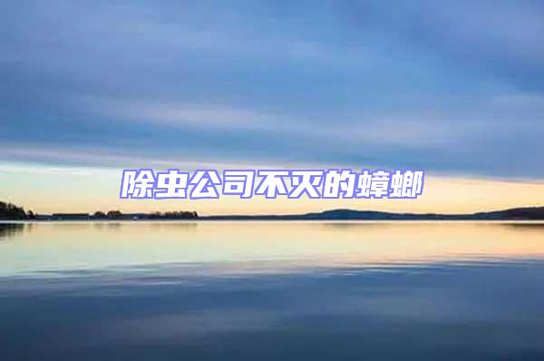 除蟲公司不滅的蟑螂