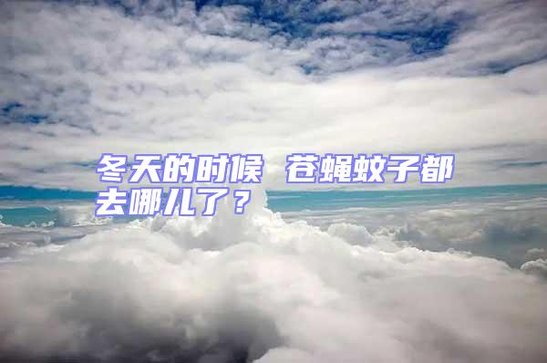 冬天的時(shí)候 蒼蠅蚊子都去哪兒了？