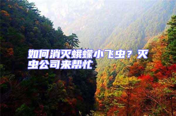 如何消滅蛾蠓小飛蟲？滅蟲公司來幫忙